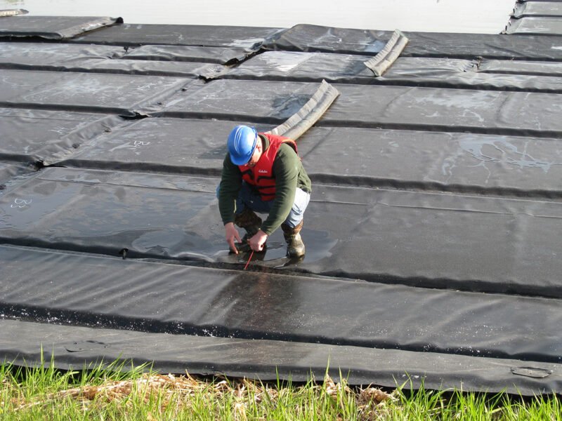 Introducing Lemna! Waste'n WaterTech