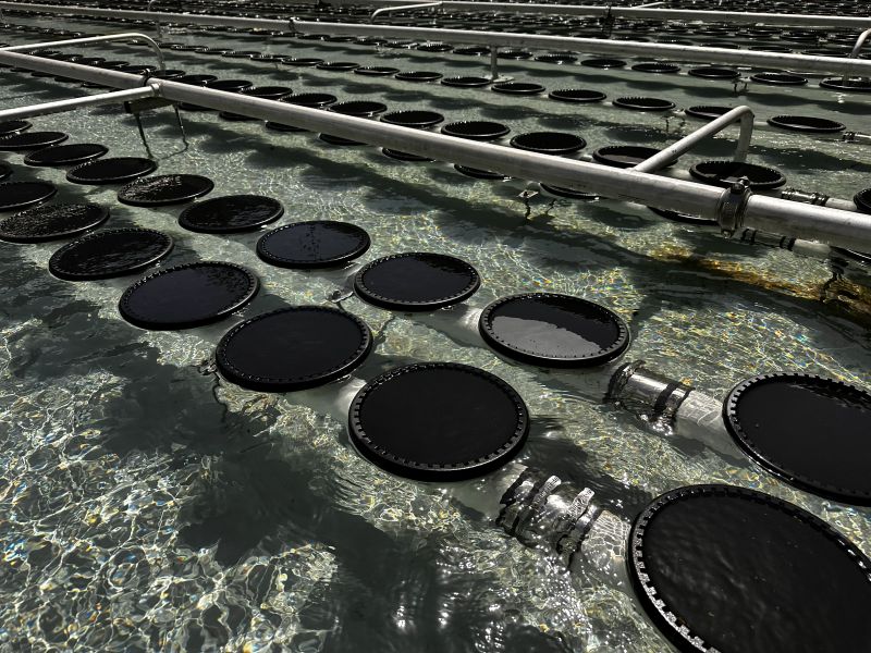 Aeration Floating Diffusers