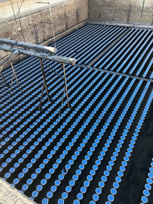 Aeration basin PEEK Diffusers